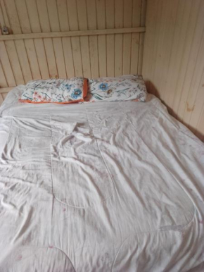 Sintaseemcasa